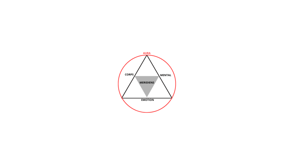 KINESIOLOGIE, EQUILIBRE, CORPS, MENTAL, EMOTIONS, MERIDIENS, AURA