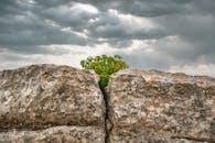 KINESIOLOGIE, ENFANCE, TRAUMATISME, RESILIENCE, NAISSANCE